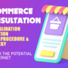 Fashion Store E-commerce Consultation
